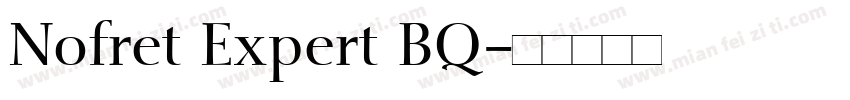 Nofret Expert BQ字体转换